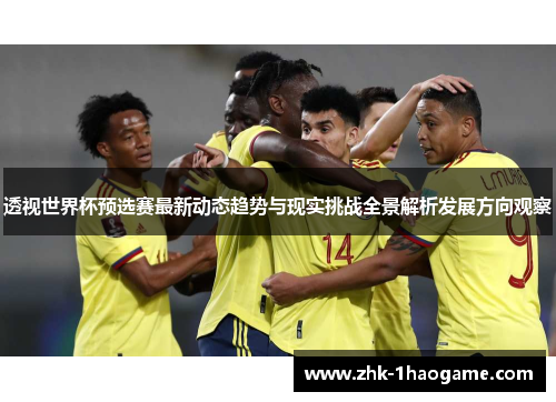 透视世界杯预选赛最新动态趋势与现实挑战全景解析发展方向观察