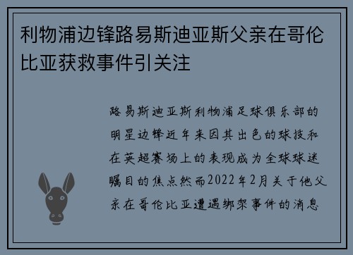 利物浦边锋路易斯迪亚斯父亲在哥伦比亚获救事件引关注